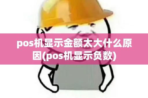 pos机显示金额太大什么原因(pos机显示负数)
