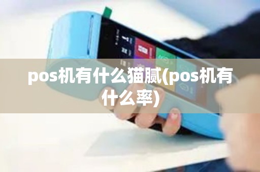 pos机有什么猫腻(pos机有什么率)