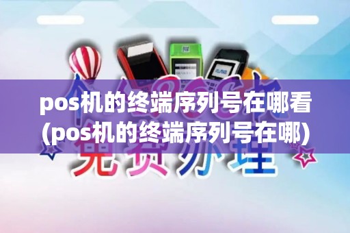 pos机的终端序列号在哪看(pos机的终端序列号在哪)