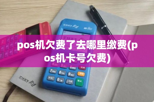 pos机欠费了去哪里缴费(pos机卡号欠费)