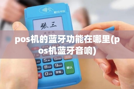 pos机的蓝牙功能在哪里(pos机蓝牙音响)