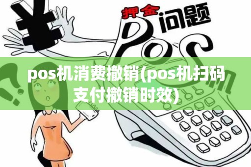 pos机消费撤销(pos机扫码支付撤销时效)
