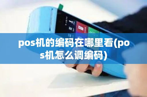 pos机的编码在哪里看(pos机怎么调编码)
