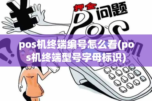 pos机终端编号怎么看(pos机终端型号字母标识)