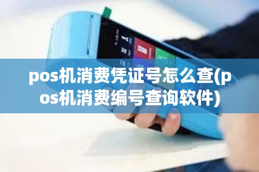 pos机消费凭证号怎么查(pos机消费编号查询软件)