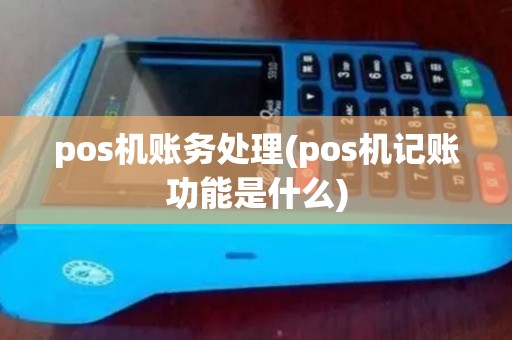 pos机账务处理(pos机记账功能是什么)