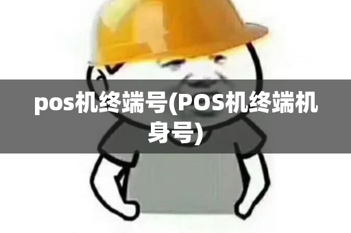 pos机终端号(POS机终端机身号)