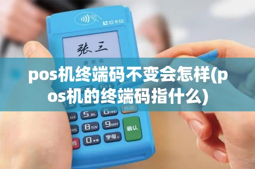 pos机终端码不变会怎样(pos机的终端码指什么)