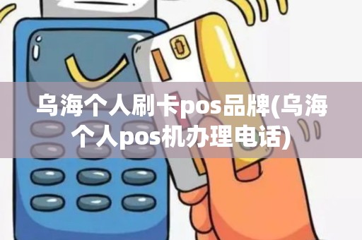 乌海个人刷卡pos品牌(乌海个人pos机办理电话)