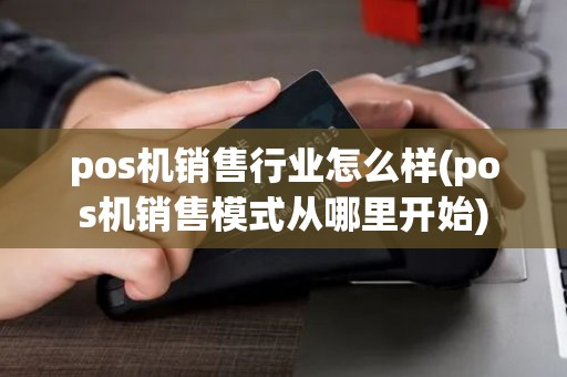 pos机销售行业怎么样(pos机销售模式从哪里开始)