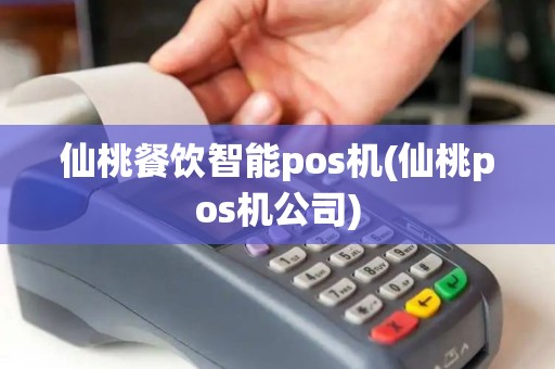 仙桃餐饮智能pos机(仙桃pos机公司)