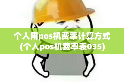 个人用pos机费率计算方式(个人pos机费率表035)