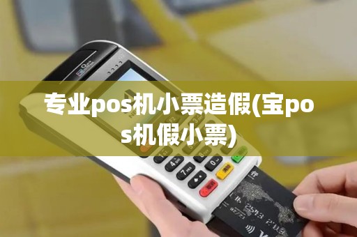 专业pos机小票造假(宝pos机假小票)