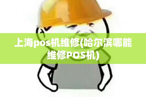 上海pos机维修(哈尔滨哪能维修POS机)