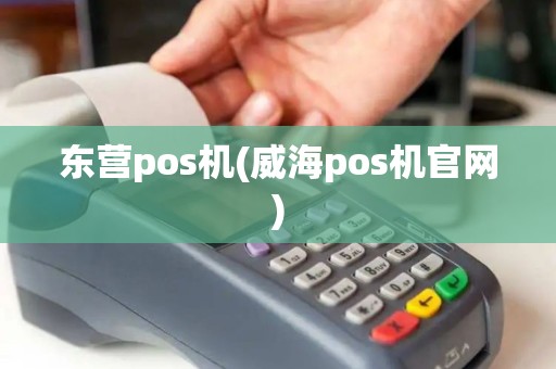 东营pos机(威海pos机官网)