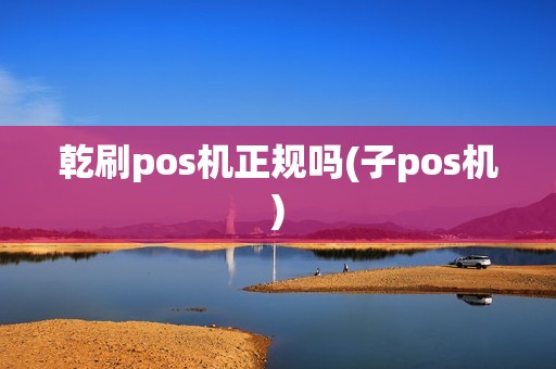 乾刷pos机正规吗(子pos机)