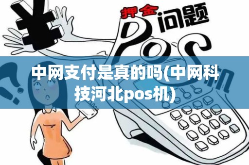 中网支付是真的吗(中网科技河北pos机)