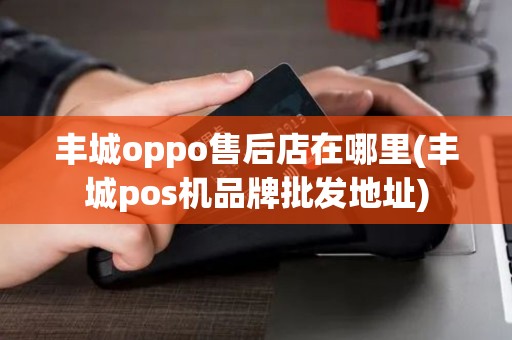 丰城oppo售后店在哪里(丰城pos机品牌批发地址)