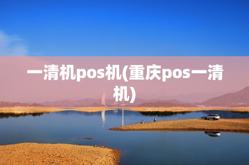 一清机pos机(重庆pos一清机)