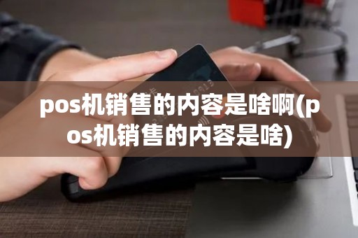 pos机销售的内容是啥啊(pos机销售的内容是啥)