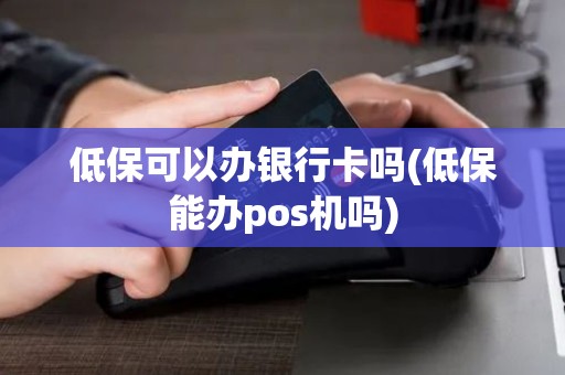低保可以办银行卡吗(低保能办pos机吗)