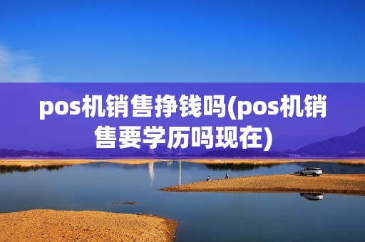 pos机销售挣钱吗(pos机销售要学历吗现在)