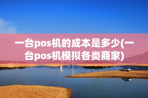 一台pos机的成本是多少(一台pos机模拟各类商家)