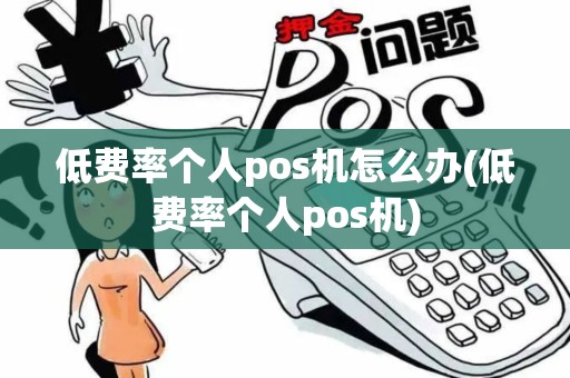 低费率个人pos机怎么办(低费率个人pos机)