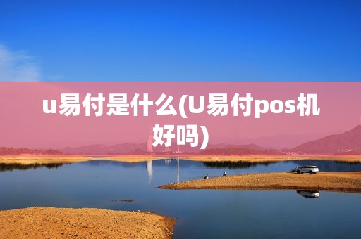 u易付是什么(U易付pos机好吗)