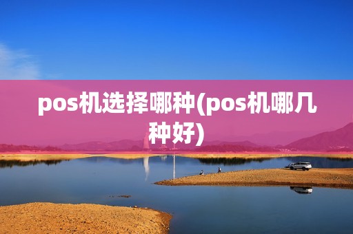 pos机选择哪种(pos机哪几种好)