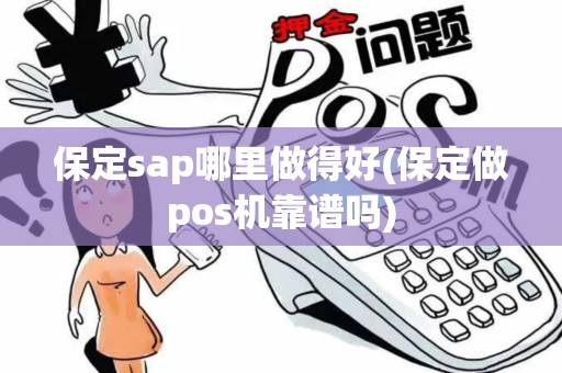 保定sap哪里做得好(保定做pos机靠谱吗)