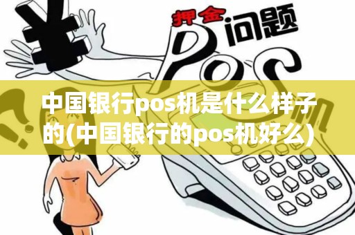 中国银行pos机是什么样子的(中国银行的pos机好么)