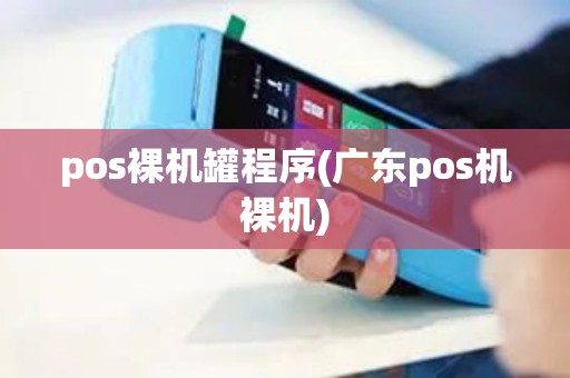 pos裸机罐程序(广东pos机裸机)