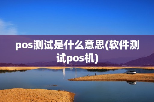 pos测试是什么意思(软件测试pos机)