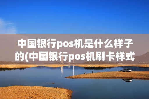 中国银行pos机是什么样子的(中国银行pos机刷卡样式)