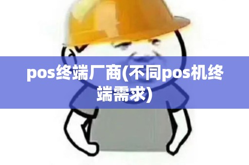 pos终端厂商(不同pos机终端需求)