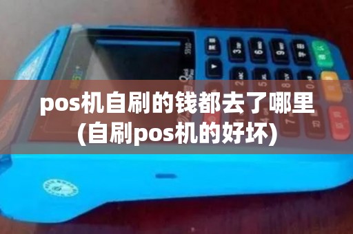pos机自刷的钱都去了哪里(自刷pos机的好坏)