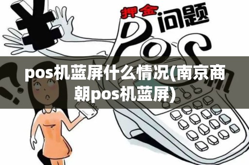 pos机蓝屏什么情况(南京商朝pos机蓝屏)