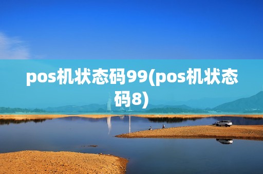 pos机状态码99(pos机状态码8)