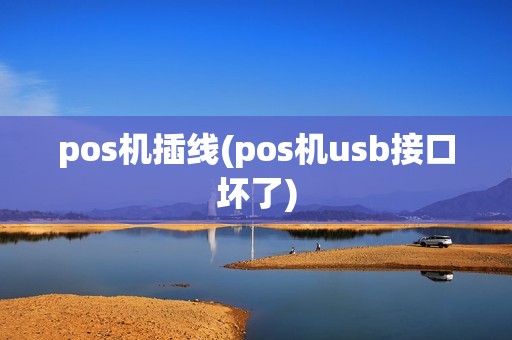 pos机插线(pos机usb接口坏了)