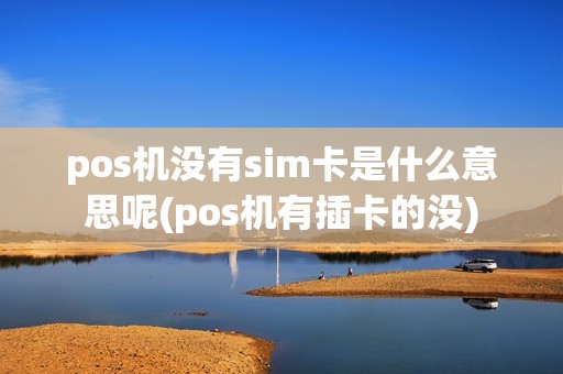 pos机没有sim卡是什么意思呢(pos机有插卡的没)