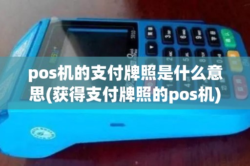 pos机的支付牌照是什么意思(获得支付牌照的pos机)