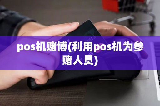 pos机赌博(利用pos机为参赌人员)