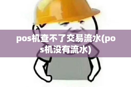 pos机查不了交易流水(pos机没有流水)