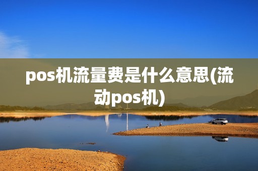 pos机流量费是什么意思(流动pos机)