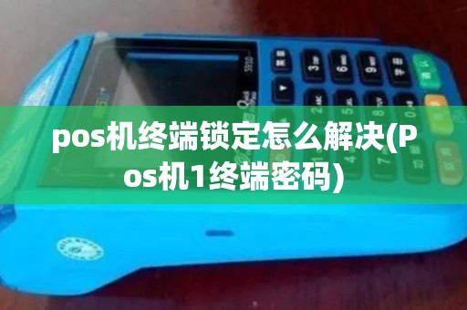 pos机终端锁定怎么解决(Pos机1终端密码)