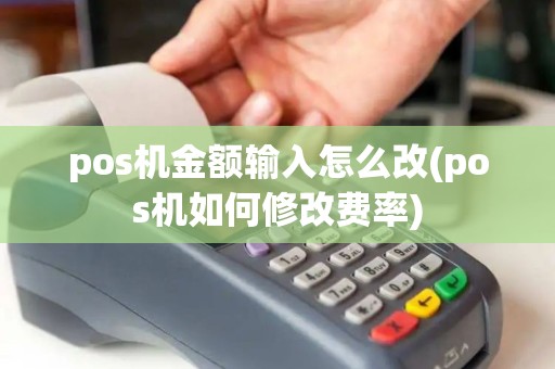 pos机金额输入怎么改(pos机如何修改费率)