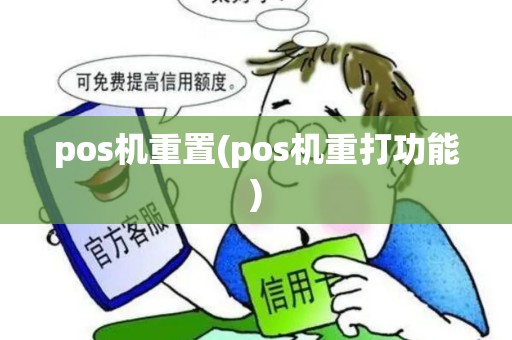 pos机重置(pos机重打功能)