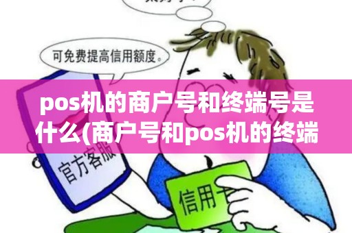 pos机的商户号和终端号是什么(商户号和pos机的终端号)