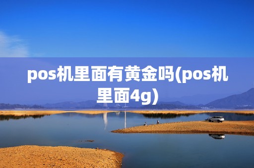 pos机里面有黄金吗(pos机里面4g)